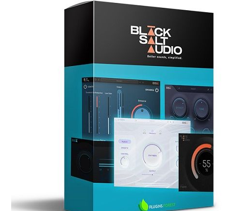 Black Salt Audio 完整捆绑包 [16.02.2024] – 插件包 WIN-音浪网-音乐制作系统办公资源