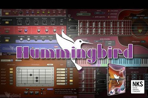 Prominy Hummingbird v1.26 （仅更新）KONTAKT 木吉他-音浪网-音乐制作系统办公资源