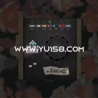 AIR Music Technology Lo Fly Dirt 1.0.0.55 WiN-音浪网-音乐制作系统办公资源