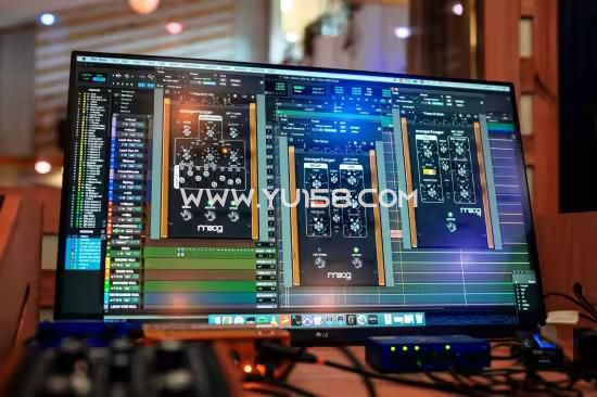  Moog Music Plugins Bundle 2024-R2R WiN-音浪网-音乐制作系统办公资源